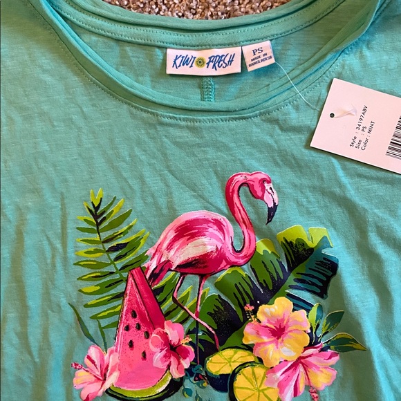 Kiwi Fresh Aqua Tee with Flamingo and Watermelon - Picture 2 of 3